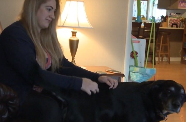 O femeie risca sa faca inchisoare pentru ca nu a returnat la timp cartile imprumutate de la biblioteca / VIDEO