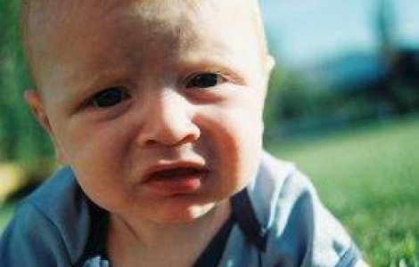 Apocalipsa scutecelor: Parintii din lumea intreaga ar putea ramane fara "pampersi"