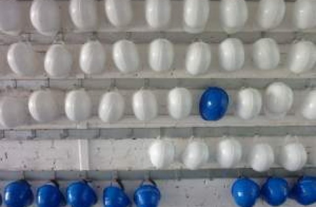 Prognoza optimista pentru piata muncii din Romania