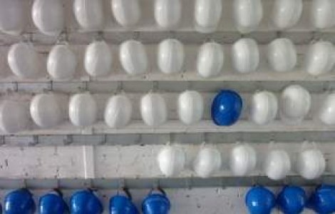 Prognoza optimista pentru piata muncii din Romania