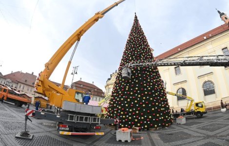 Primaria Sibiu a amplasat in Piata Mare un brad de Craciun, artificial, care a costat peste 600.000 de lei