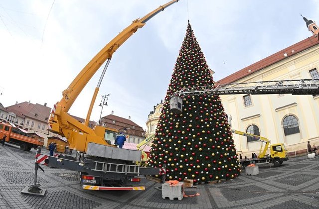 Primaria Sibiu a amplasat in Piata Mare un brad de Craciun, artificial, care a costat peste 600.000 de lei