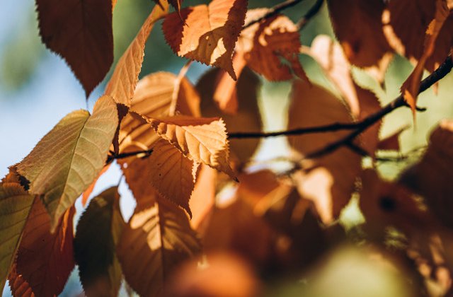 Vremea in weekend. Meteorologii anunta temperaturi maxime de pana la 24 de grade