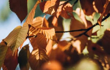 Meteorologii anunta temperaturi de pana la 24 de grade in weekend