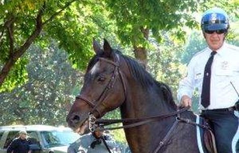 Luni va fi introdusa Patrula Calare a Municipiului Bucuresti