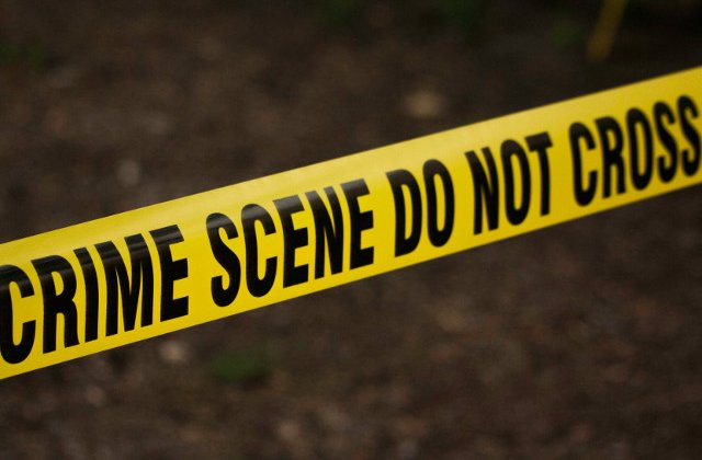 Un roman se declara vinovat de uciderea cu bestialitate a unei artiste britanice, in 2013/ VIDEO