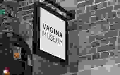 Un &quot;muzeu al vaginului&quot;,...