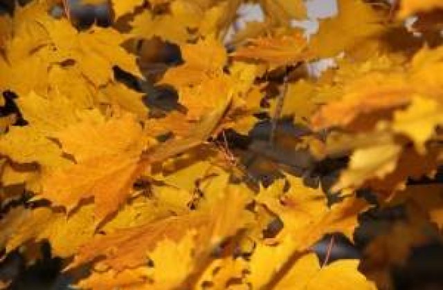 Meteo: Ploile ne evita, iar vremea ramane calda pentru octombrie