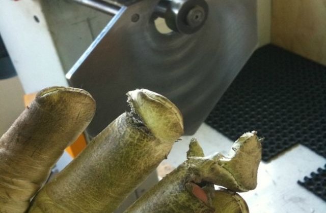 Au scapat la limita: 15 persoane care se pot lauda cu acel "gram de noroc"