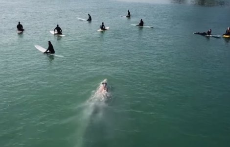 VIDEO VIRAL/ O balena albastra, surprinsa in timp ce inoata sub un grup de surferi
