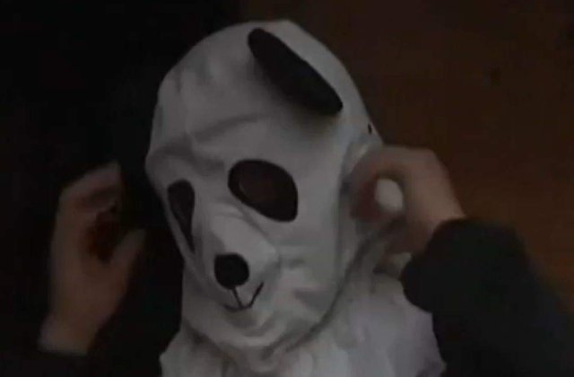 [VIDEO] Mai multi ingrijitori s-au deghizat in ursi pentru a prinde un panda