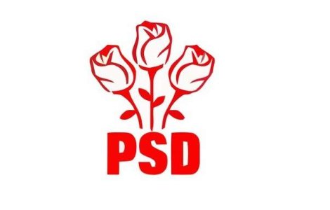 PSD Bucuresti a aprobat lista candidatilor la parlamentare