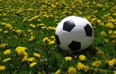 Preliminarii CM 2014: Romania invinge Turcia, scor 1-0