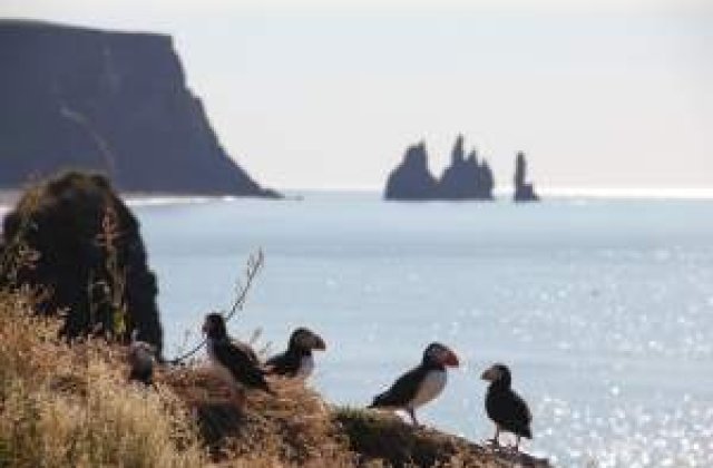 Cristian Sima: Sunt in Islanda, am plecat de frica