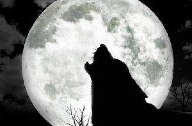 Halloween Top 10: Cele mai bune filme cu varcolaci