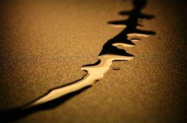 Un tanar s-a injunghiat si si-a dat foc, in fata Camerei Deputatilor din Germania