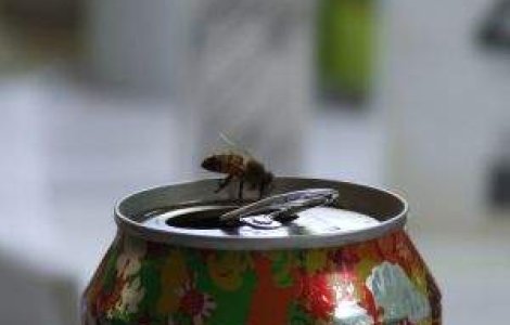 Coca-Cola va lansa o bautura speciala destinata femeilor