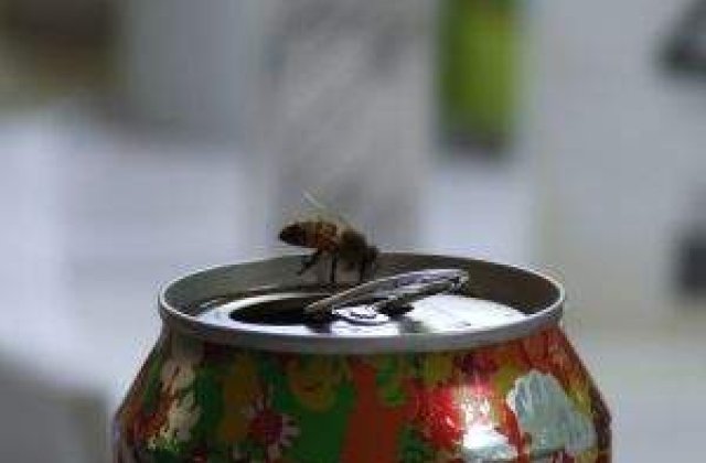 Coca-Cola va lansa o bautura speciala destinata femeilor