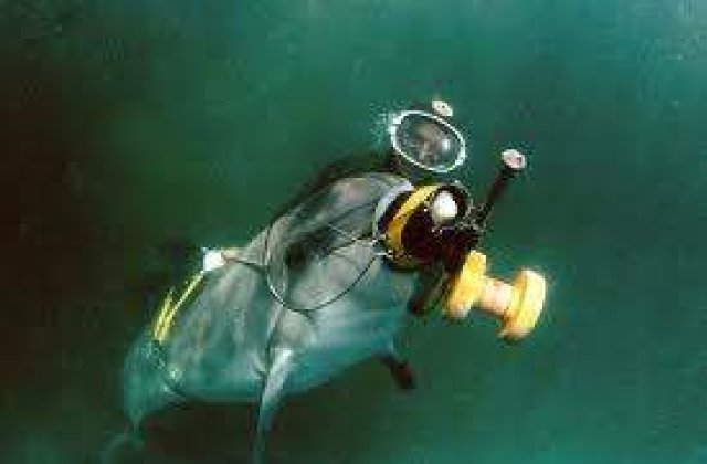 [VIDEO] Rusii ar putea instrui delfini de razboi pentru iranieni