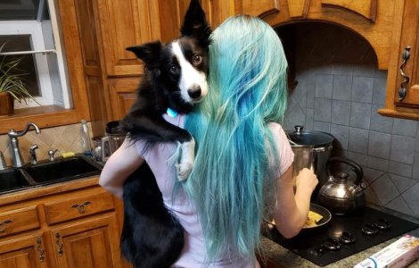  Top  15+ fotografii care arata cat de speciala este legatura oamenilor cu animalele lor de companie