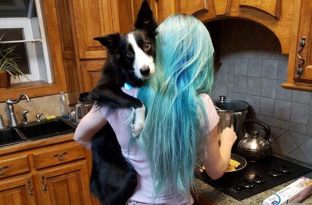 15+ fotografii care arata cat de speciala este legatura oamenilor cu animalele lor de companie