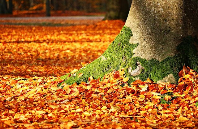 Vremea se incalzeste in aceasta saptamana, urmand ca valorile termice sa scada dupa 30 noiembrie