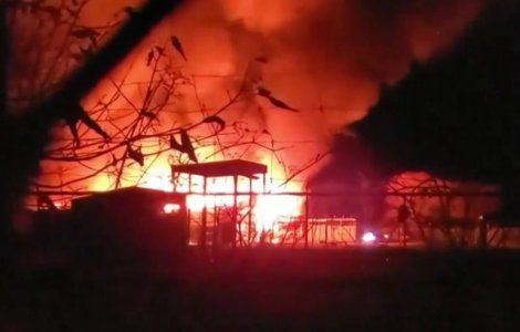 Cel putin 10 animale au murit arse de vii intr-un incendiu izbucnit intr-un parc safari