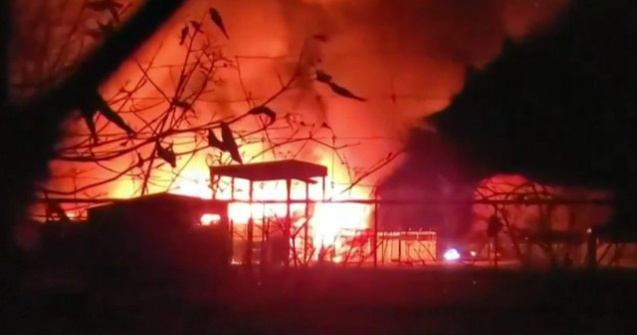 Cel putin 10 animale au murit arse de vii intr-un incendiu izbucnit intr-un parc safari