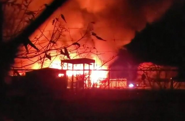 Cel putin 10 animale au murit arse de vii intr-un incendiu izbucnit intr-un parc safari