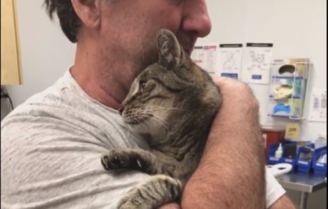 Un barbat s-a reunit cu pisica pierduta in urma cu 7 ani / VIDEO