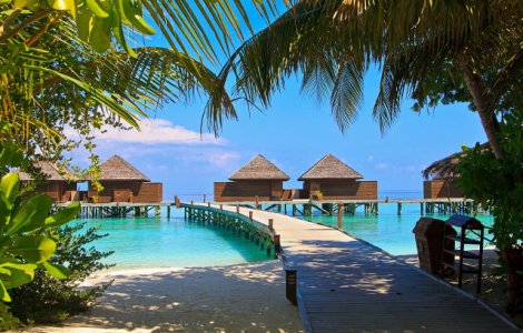 Cum sa treci cu bine peste zilele geroase