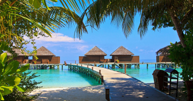 Cum sa treci cu bine peste zilele geroase