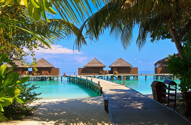 Cum sa treci cu bine peste zilele geroase