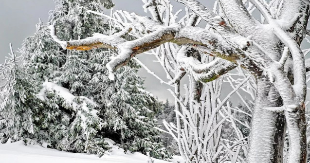 Cea mai scazuta temperatura inregistrata in tara, la Miercurea Ciuc