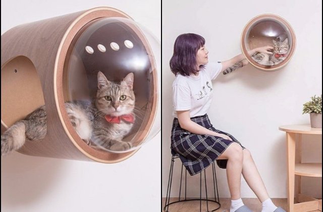 10+ inventii ingenioase care iti vor face viata mai usoara