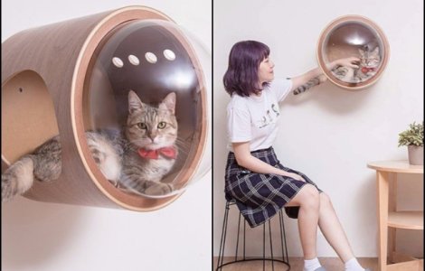  Top  10+ inventii ingenioase care iti vor face viata mai usoara