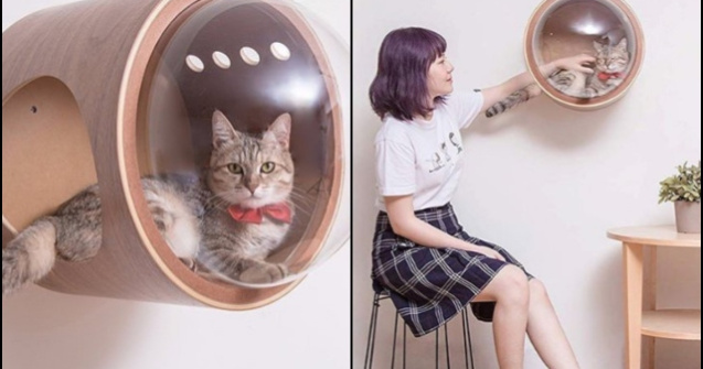  Top  10+ inventii ingenioase care iti vor face viata mai usoara