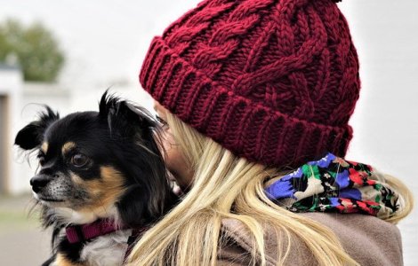 Studiu: Cainii pot recunoste cuvinte scurte, desi sunt rostite de persoane diferite