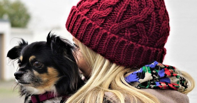 Studiu: Cainii recunosc cuvinte scurte rostite de persoane diferite