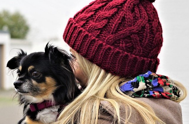 Studiu: Cainii pot recunoste cuvinte scurte, desi sunt rostite de persoane diferite