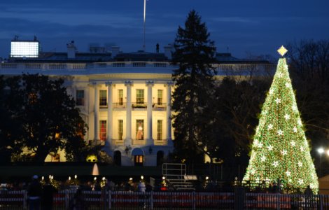 Melania Trump a aprins instalatia de lumini care decoreaza bradul de Craciun expus la Washington/ VIDEO