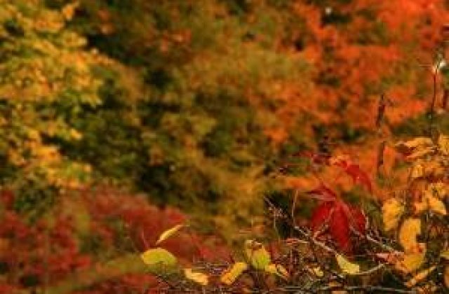 Meteo: Vremea se raceste accentuat la sfarsitul lui octombrie