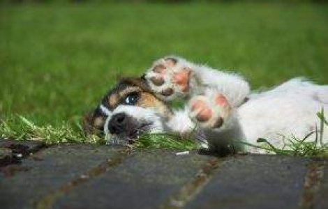 MINUNE de catel: A inviat dupa ce a fost otravit si ingropat de viu