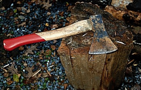 Un tanar de 18 ani, suspectat si-a ucis parintii si fratele mai mic