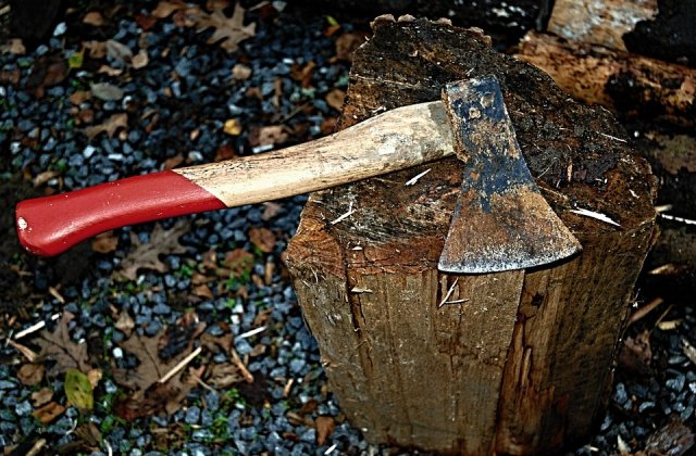 Un tanar de 18 ani, suspectat si-a ucis parintii si fratele mai mic