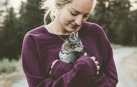 Studiu: Stapanii de pisici au mai putine sanse sa dezvolte boli de ini