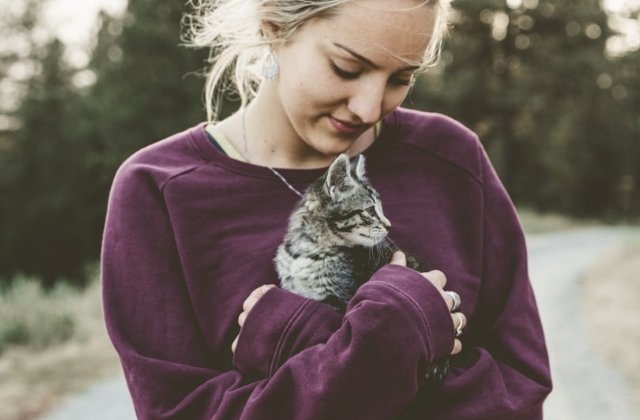 Studiu: Stapanii de pisici au mai putine sanse sa dezvolte boli de inima