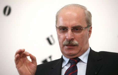 Mariana Bitang si Octavian Bellu si-au oficializat povestea de dragoste