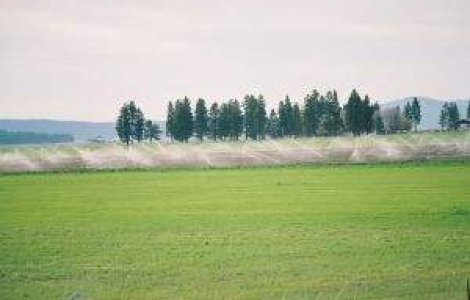 MADR vrea 1 miliard de euro de la CE pentru reabilitarea sistemului de irigatii