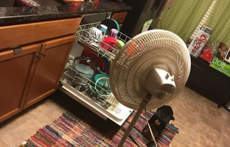  Top  10+ momente in care sotii au reusit sa isi amuze sotiile cu "micile" l